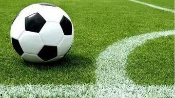 足球绝密爆料视频大全,独家爆料视频大全深度解析